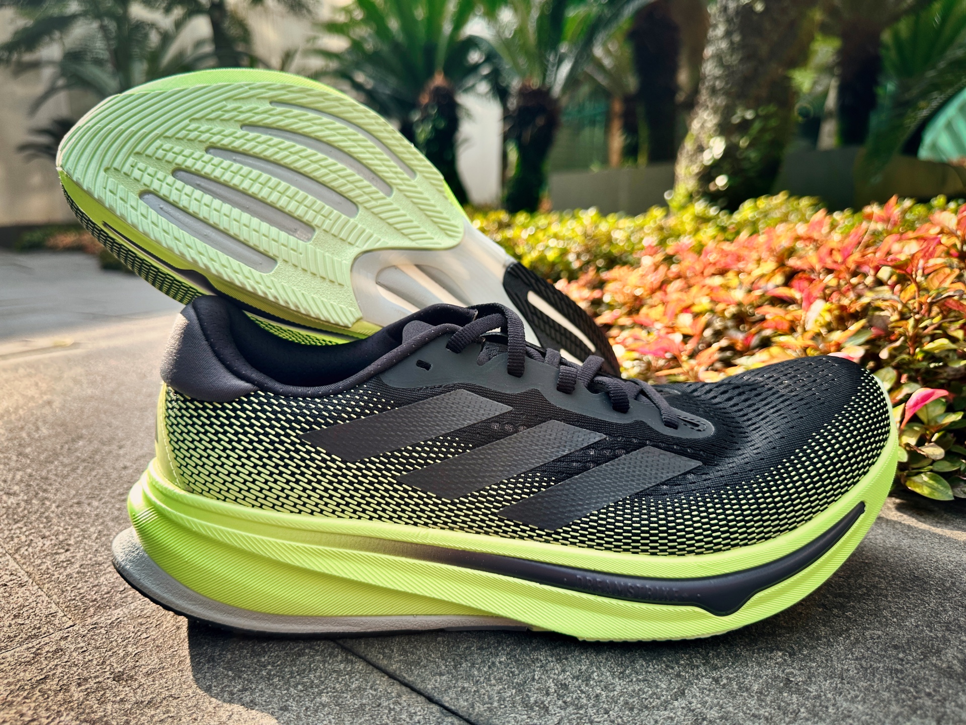 Picture of Adidas Supernova Rise