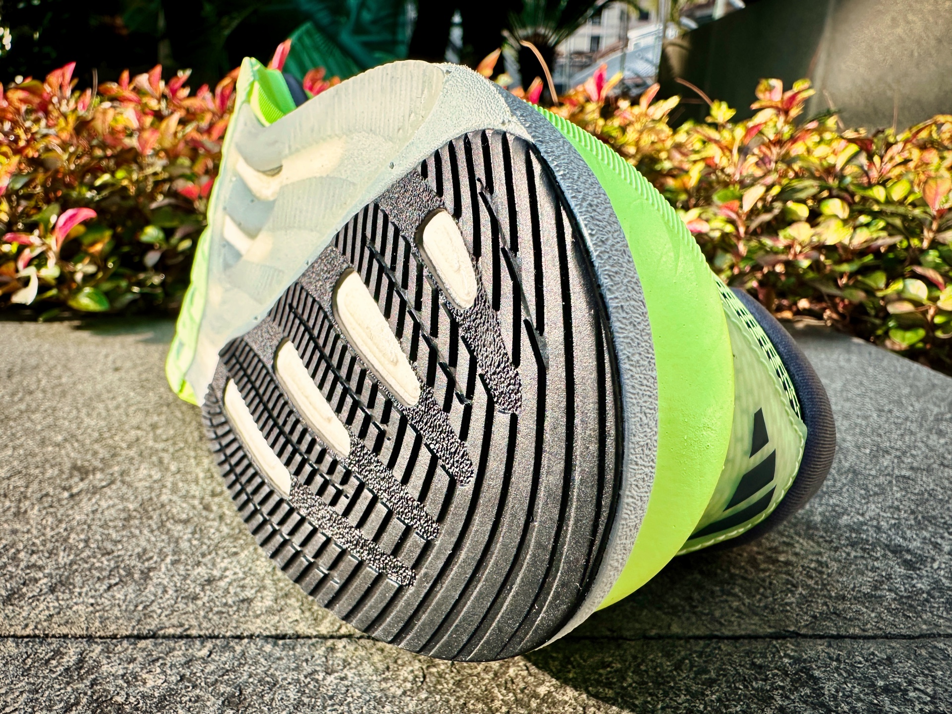 Picture of Adidas Supernova Rise