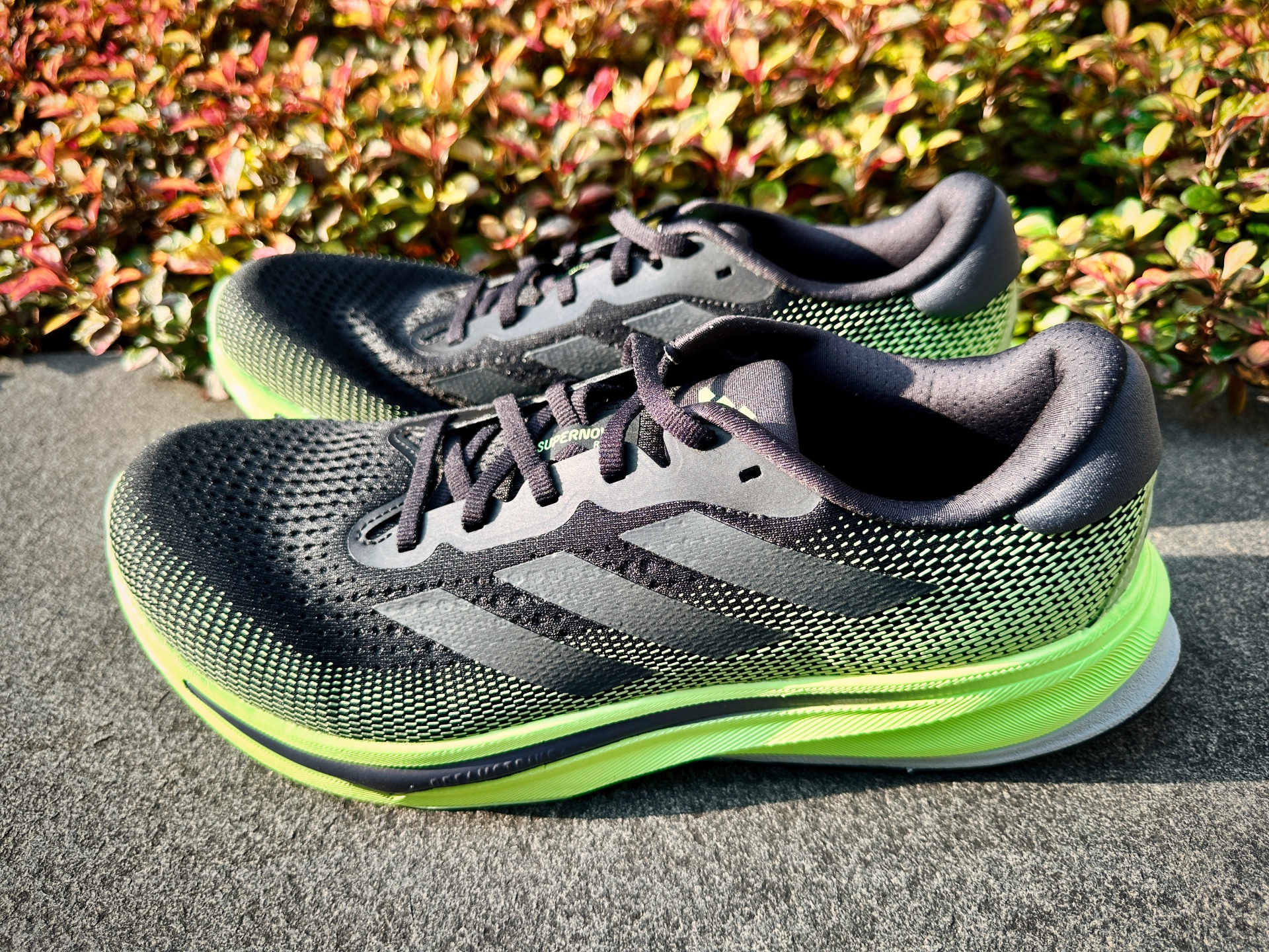 Picture of Adidas Supernova Rise