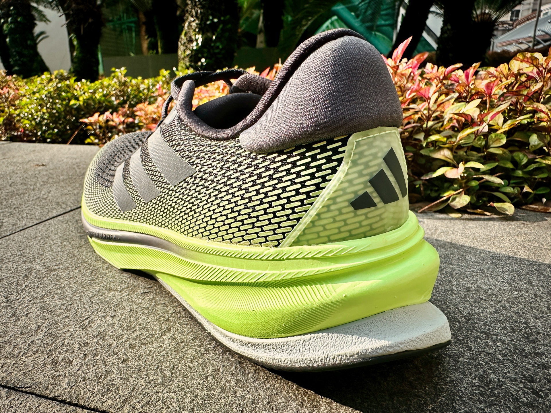 Picture of Adidas Supernova Rise