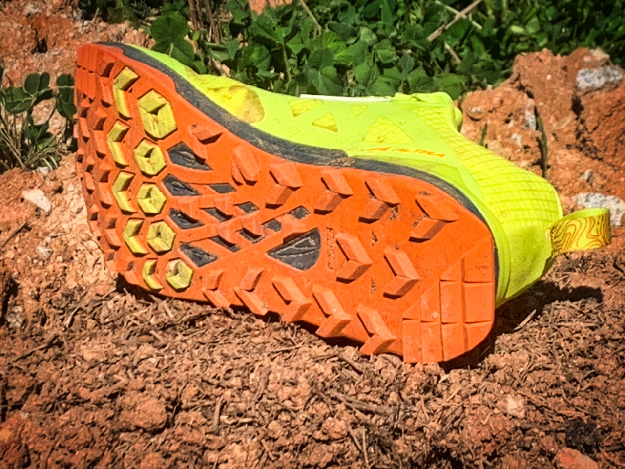 Picture of Altra Lone Peak 8
