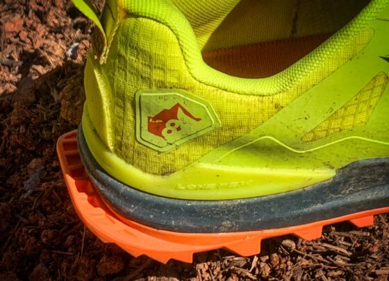 Picture of Altra Lone Peak 8