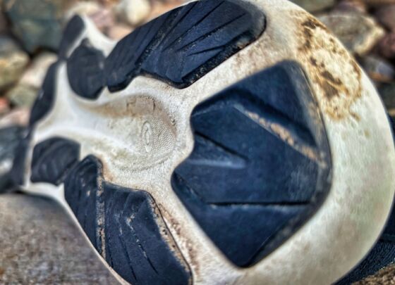 Picture of ASICS Dynablast 4