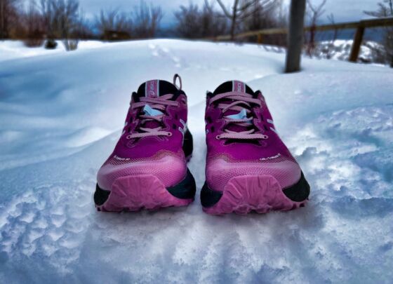 Picture of ASICS Gel Trabuco 12