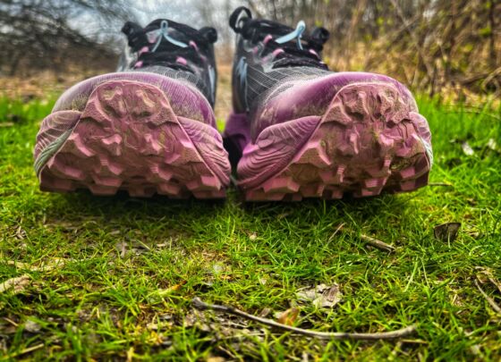 Picture of ASICS Trabuco Max 3