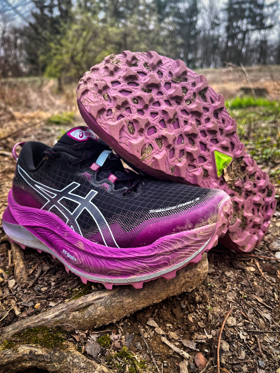 Picture of ASICS Trabuco Max 3