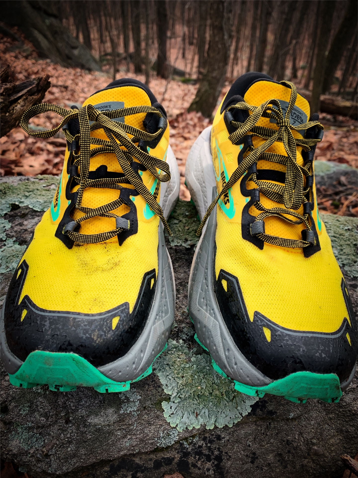 Picture of Brooks Caldera 7