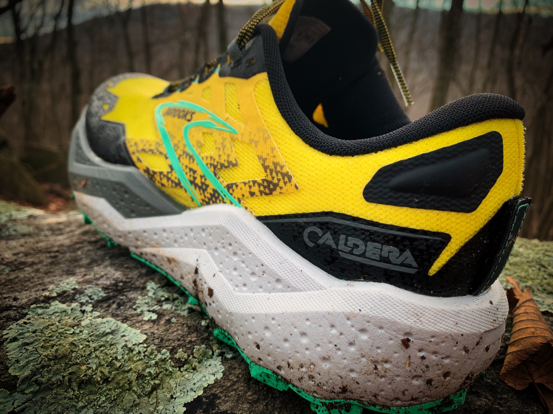 Picture of Brooks Caldera 7