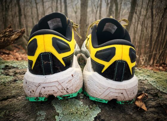 Picture of Brooks Caldera 7