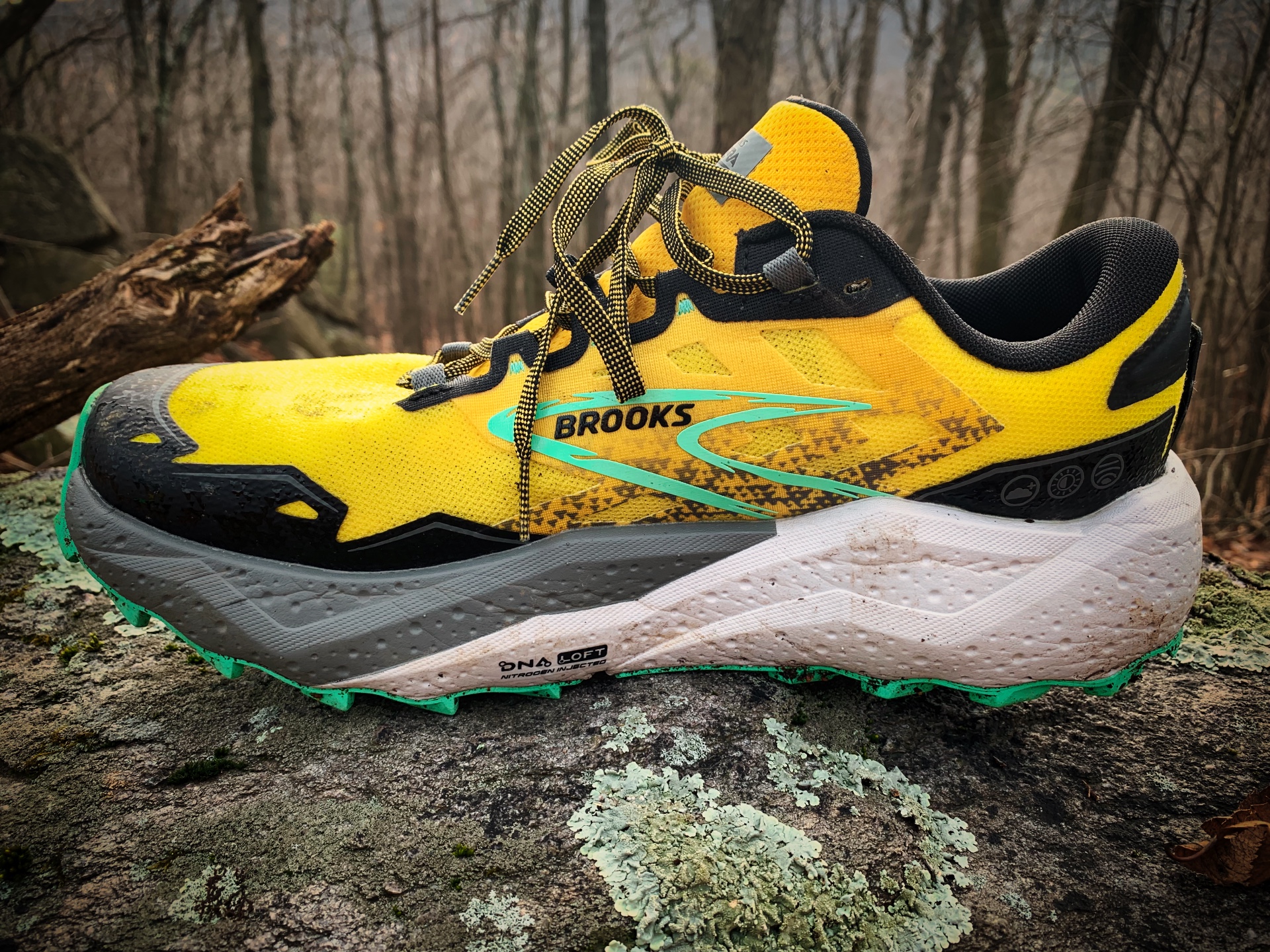 Picture of Brooks Caldera 7