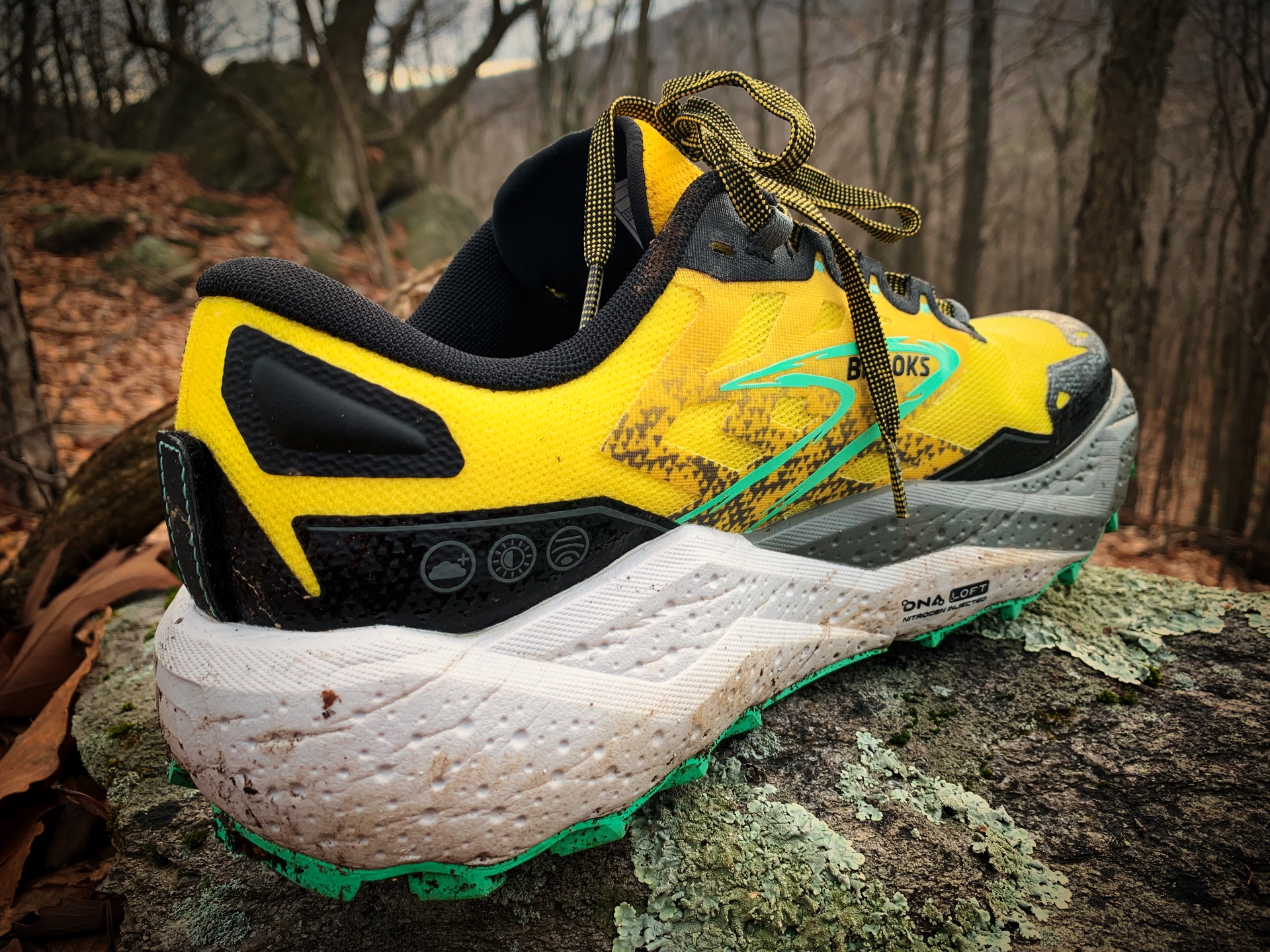 Picture of Brooks Caldera 7