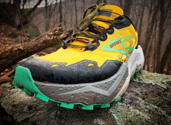 Picture of Brooks Caldera 7