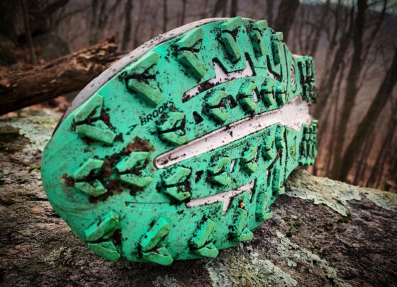 Picture of Brooks Caldera 7