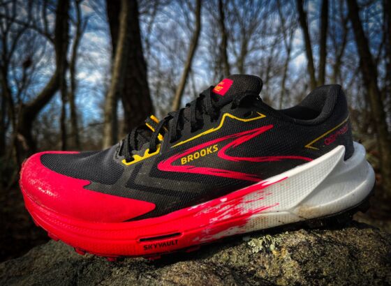 Picture of Brooks Catamount 3