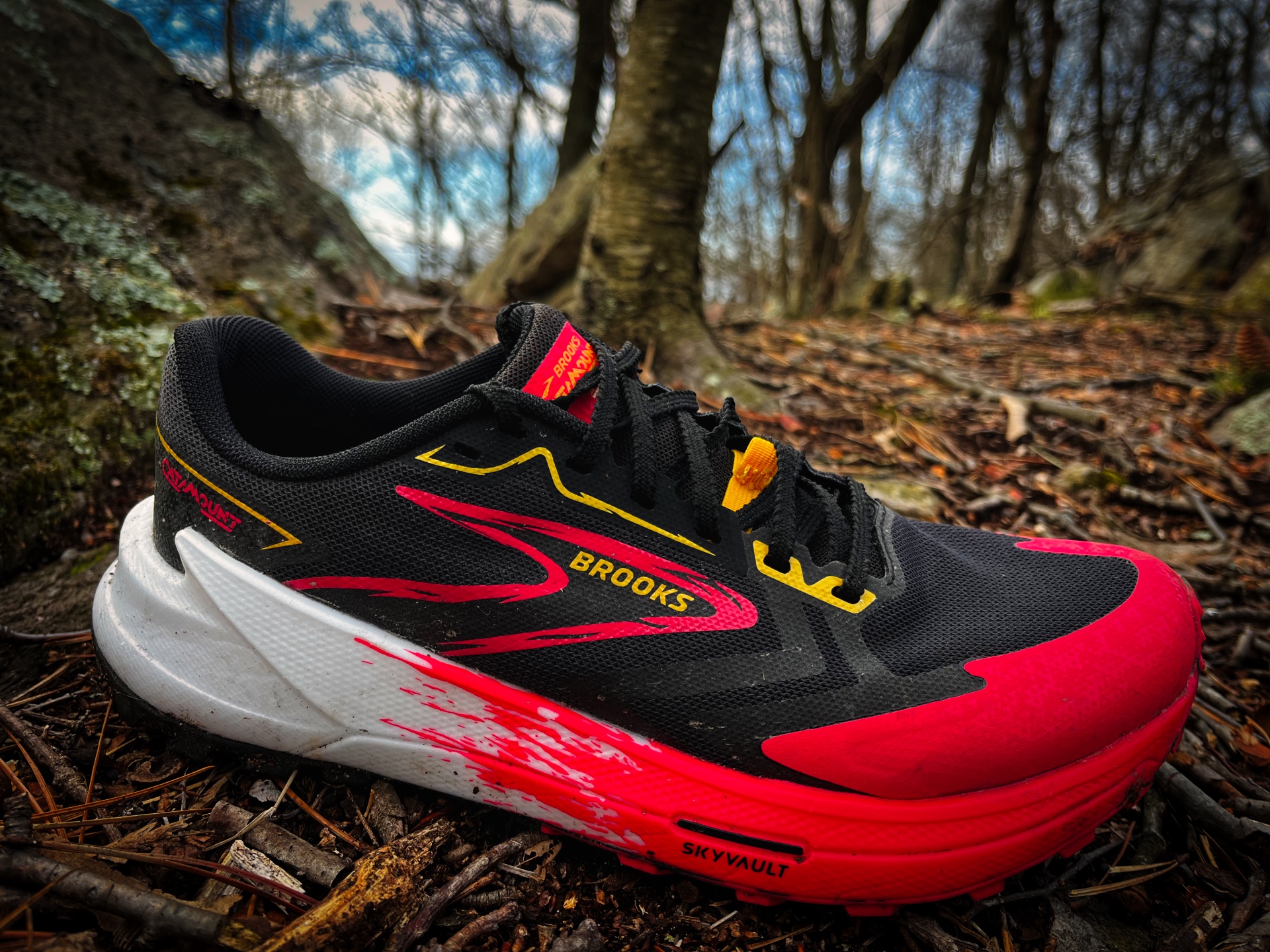 Picture of Brooks Catamount 3