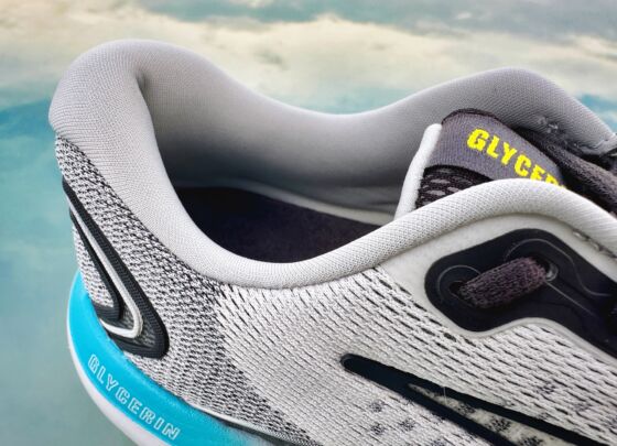 Picture of Brooks Glycerin 21