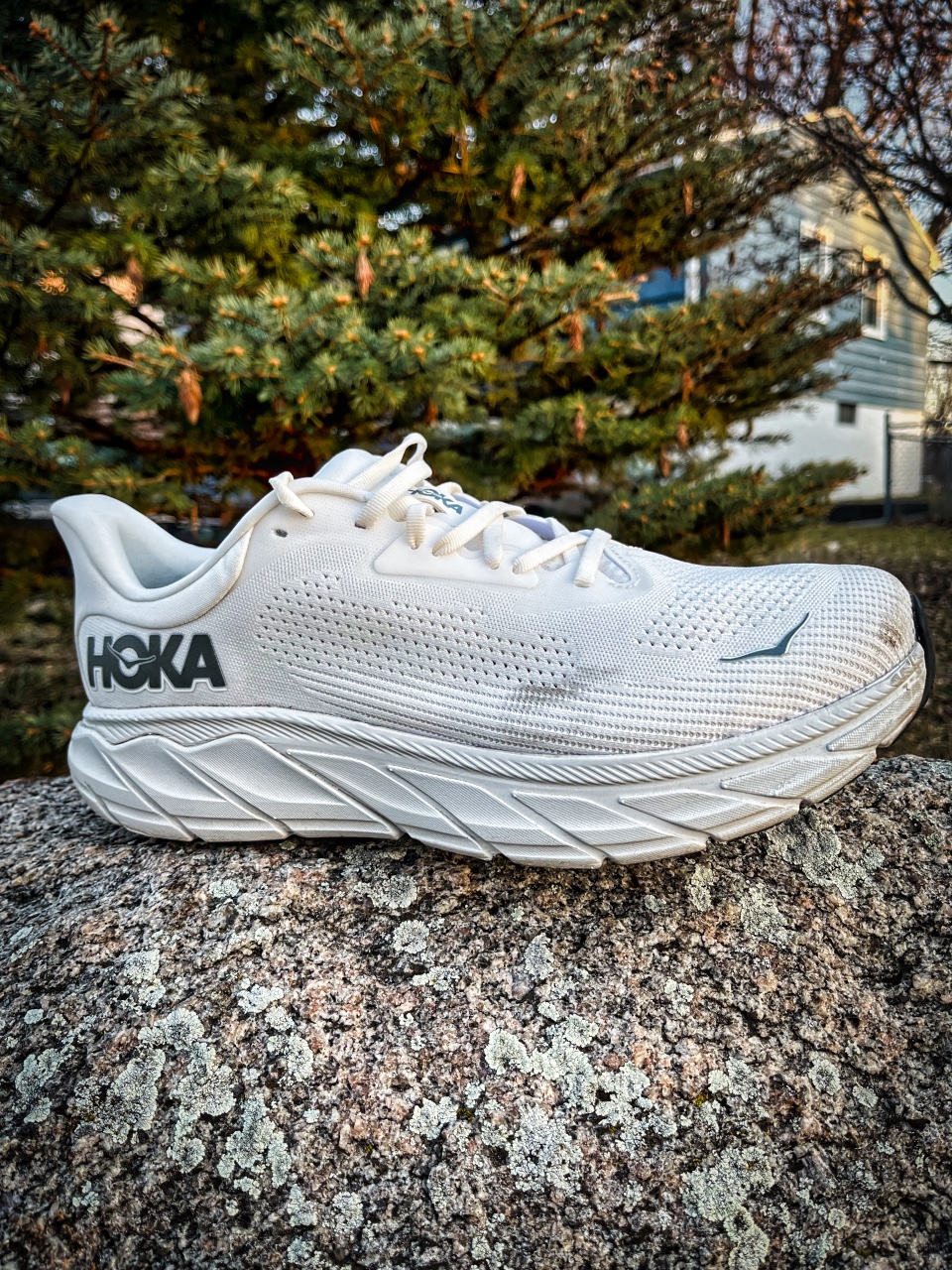 Picture of HOKA Arahi 7