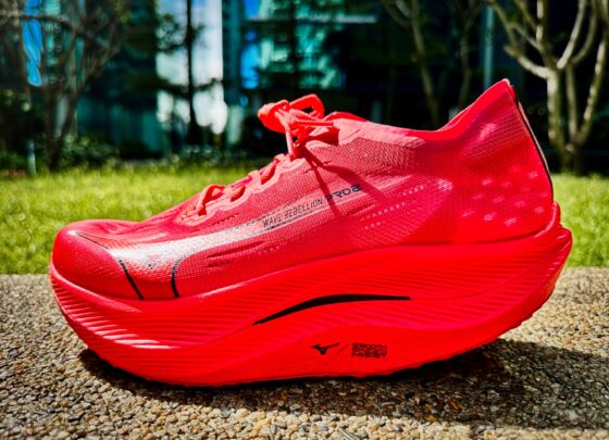 Picture of Mizuno Wave Rebellion Pro 2