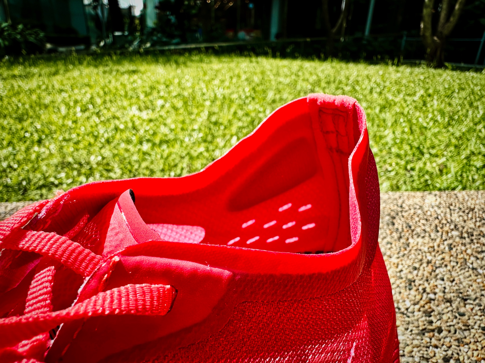 Picture of Mizuno Wave Rebellion Pro 2