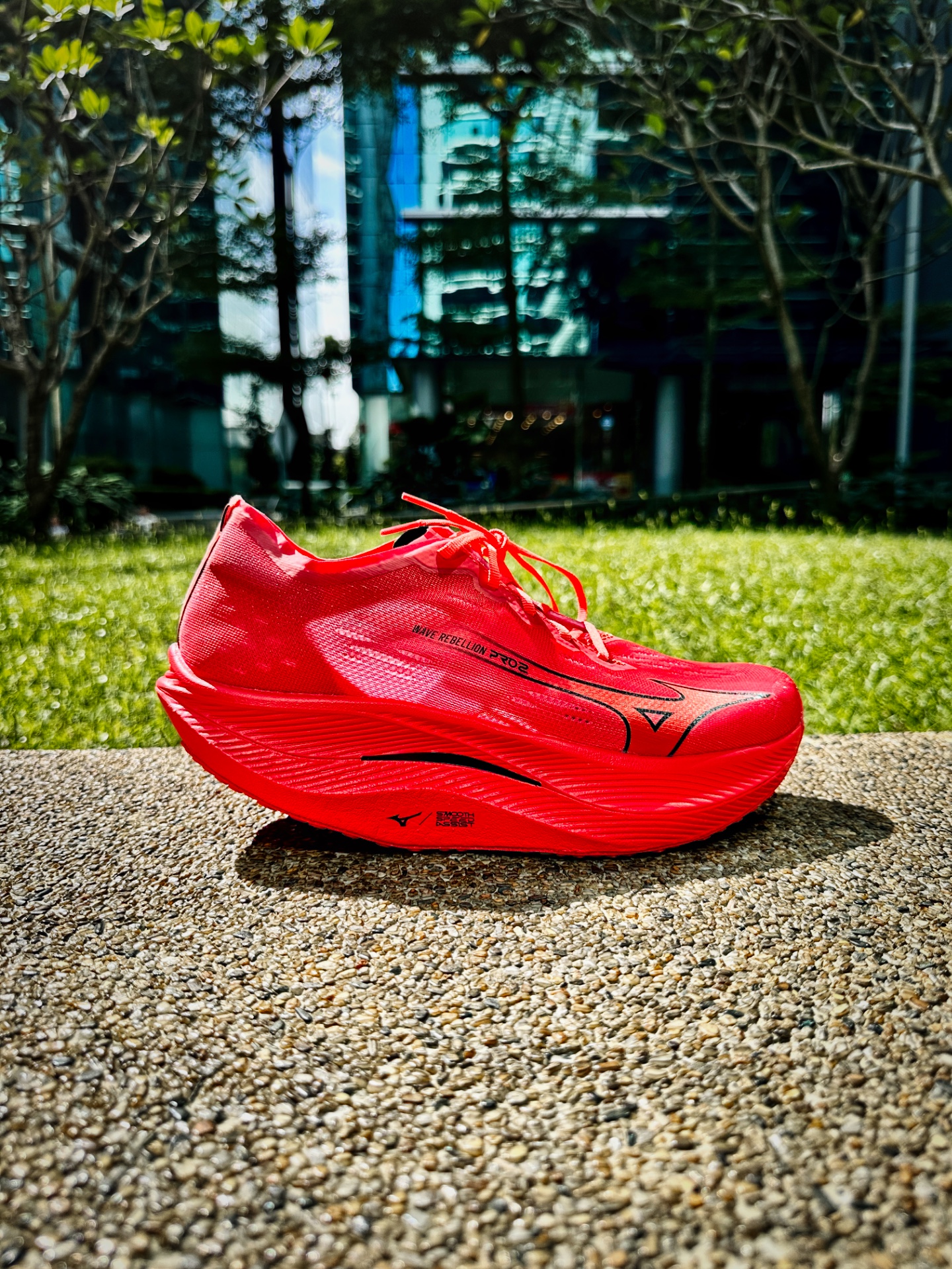 Picture of Mizuno Wave Rebellion Pro 2