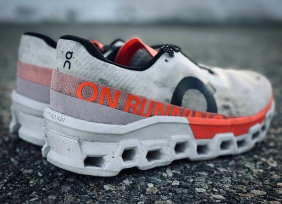 Picture of On Cloudmonster 2