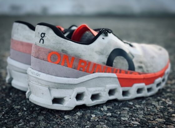 Picture of On Cloudmonster 2