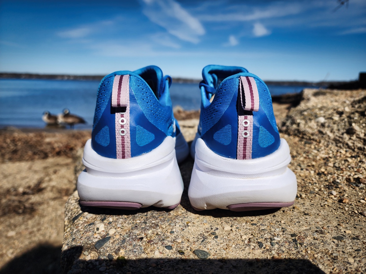 Picture of Saucony Omni 22