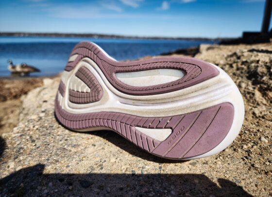 Picture of Saucony Omni 22