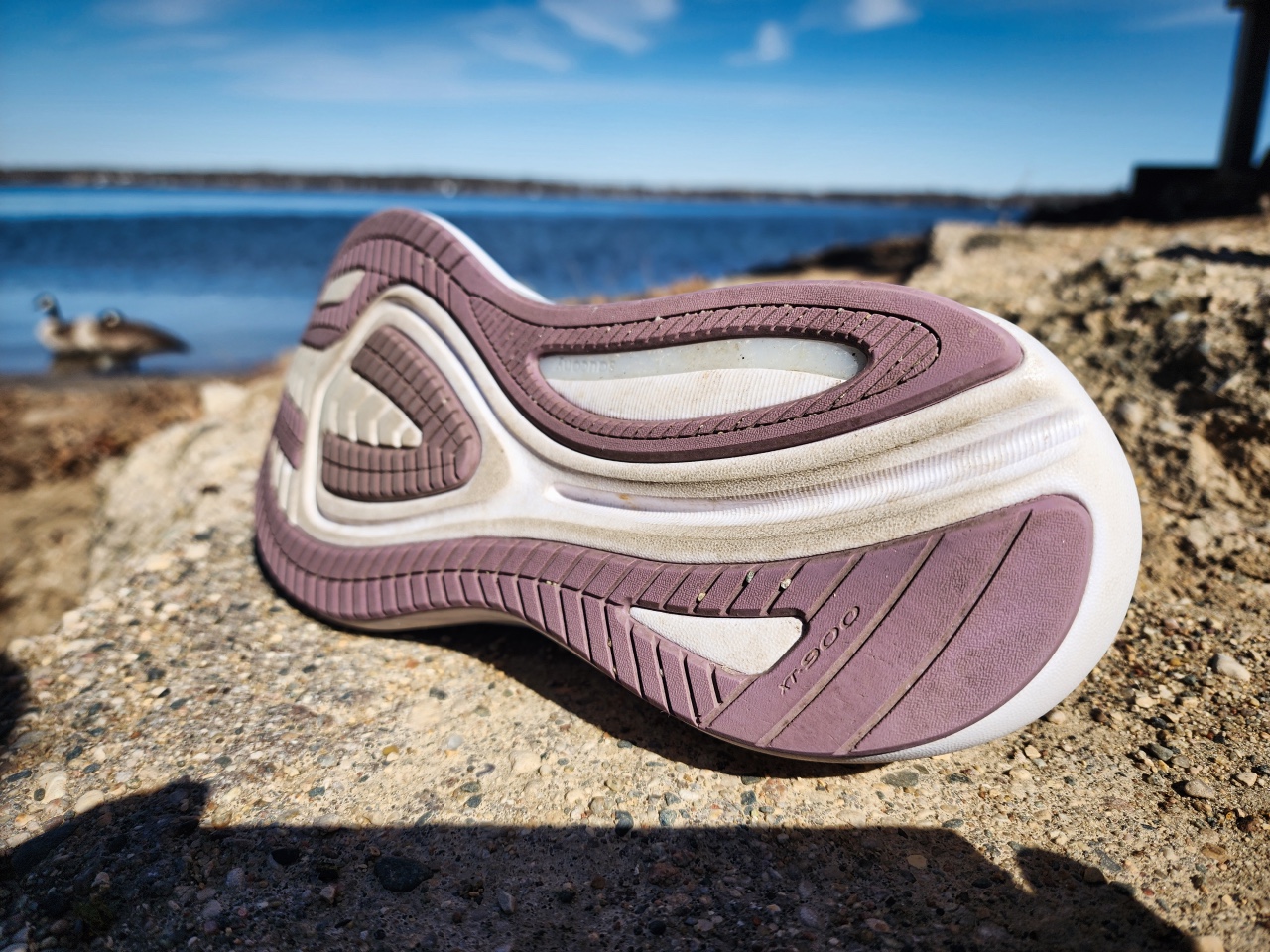 Picture of Saucony Omni 22