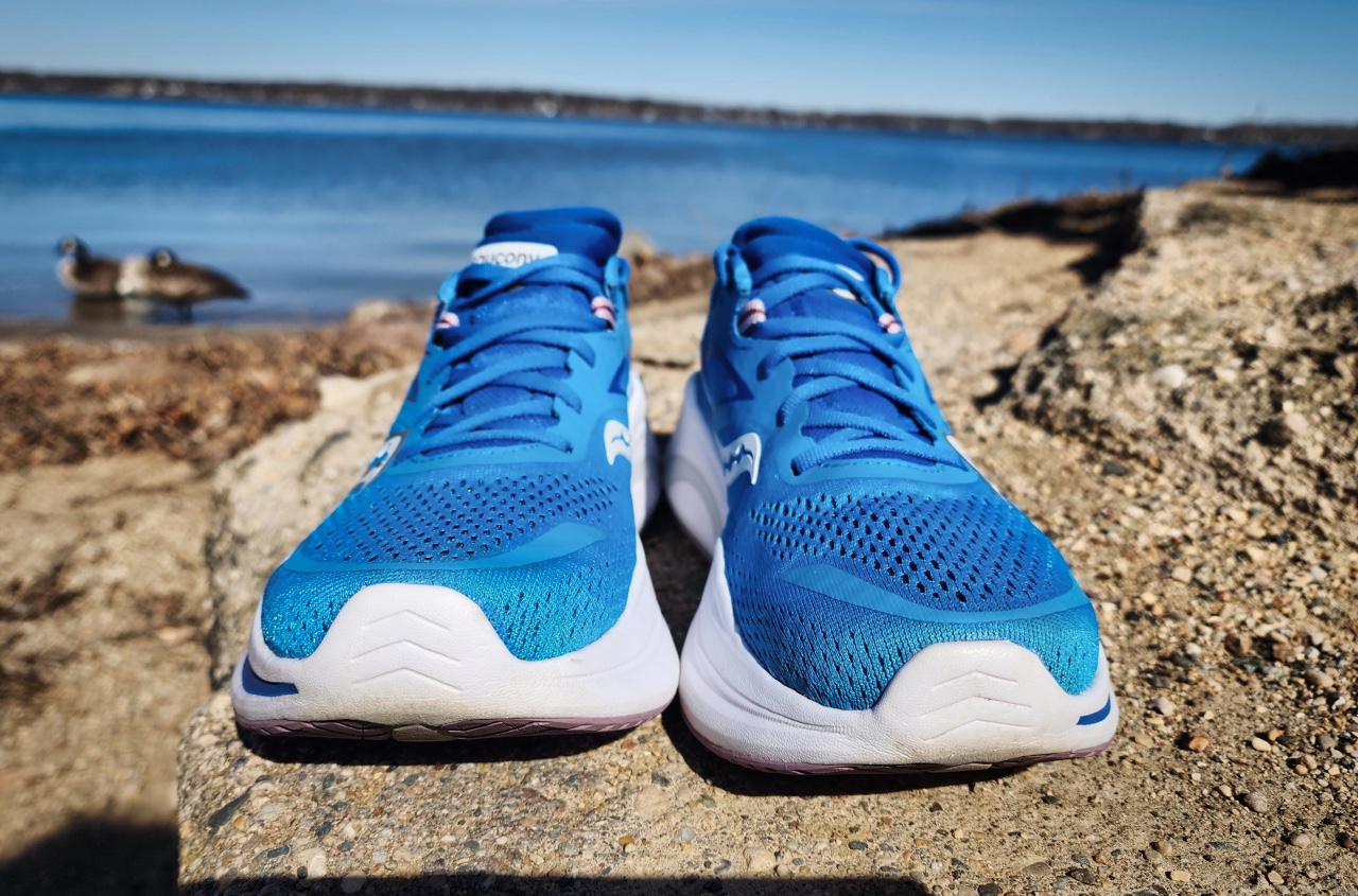 Picture of Saucony Omni 22