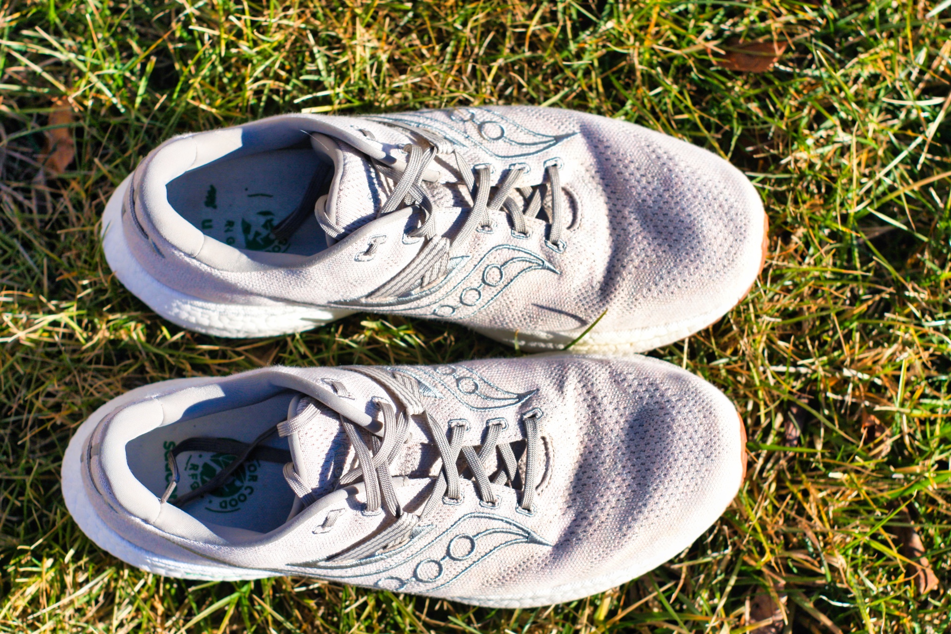 Picture of Saucony Triumph RFG