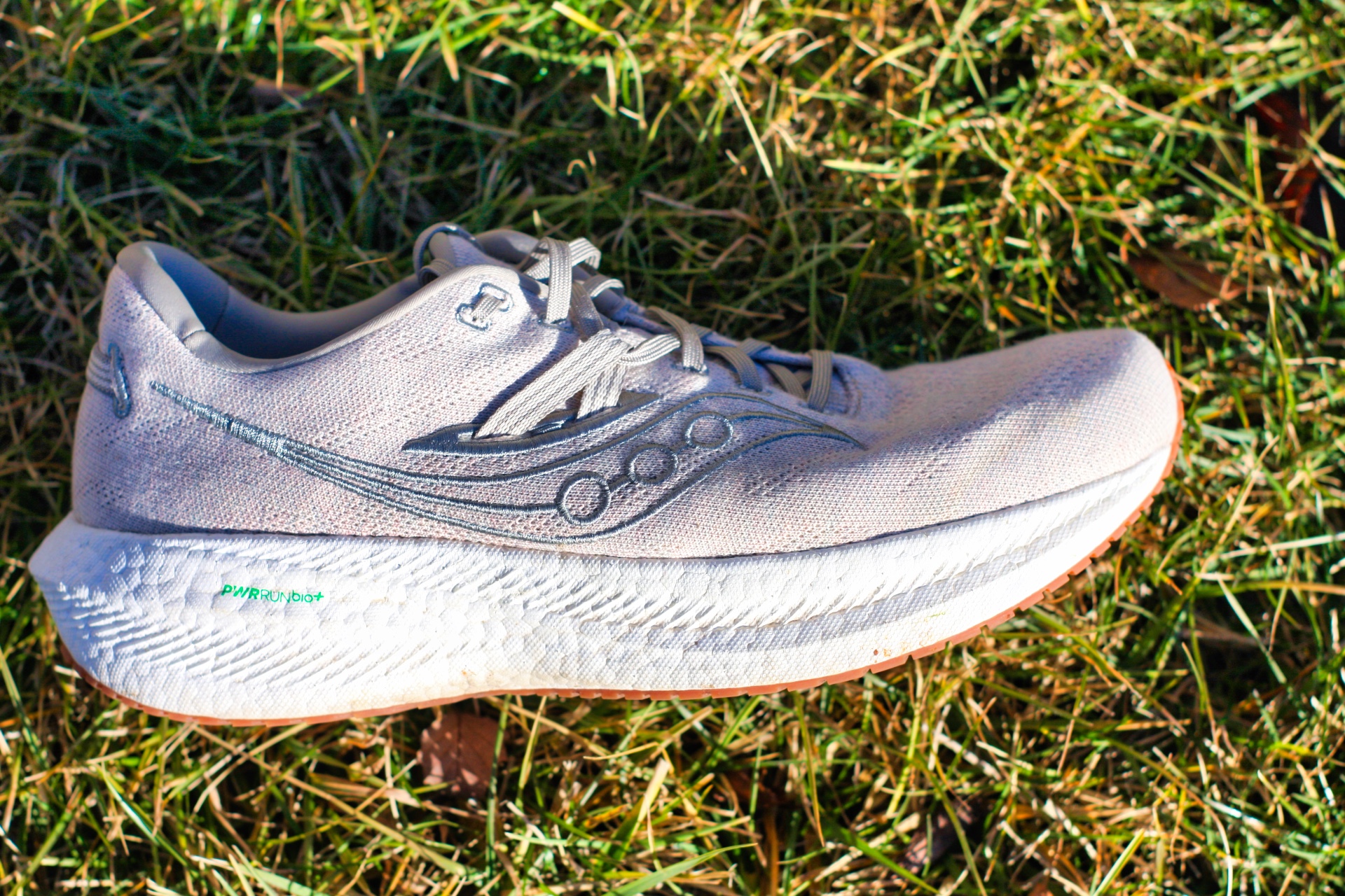 Picture of Saucony Triumph RFG